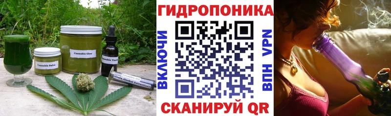 Купить закладки  Гдов  Еда ТГК марихуана 