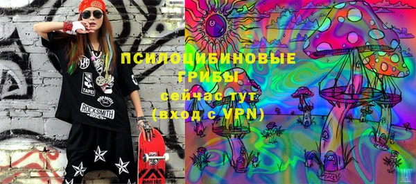 spice Кодинск