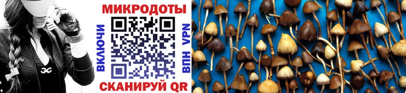 Галлюциногенные грибы мухоморы  Купить закладки  Гдов 